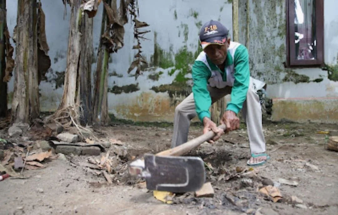Old traditions that return, save the earth from organic waste