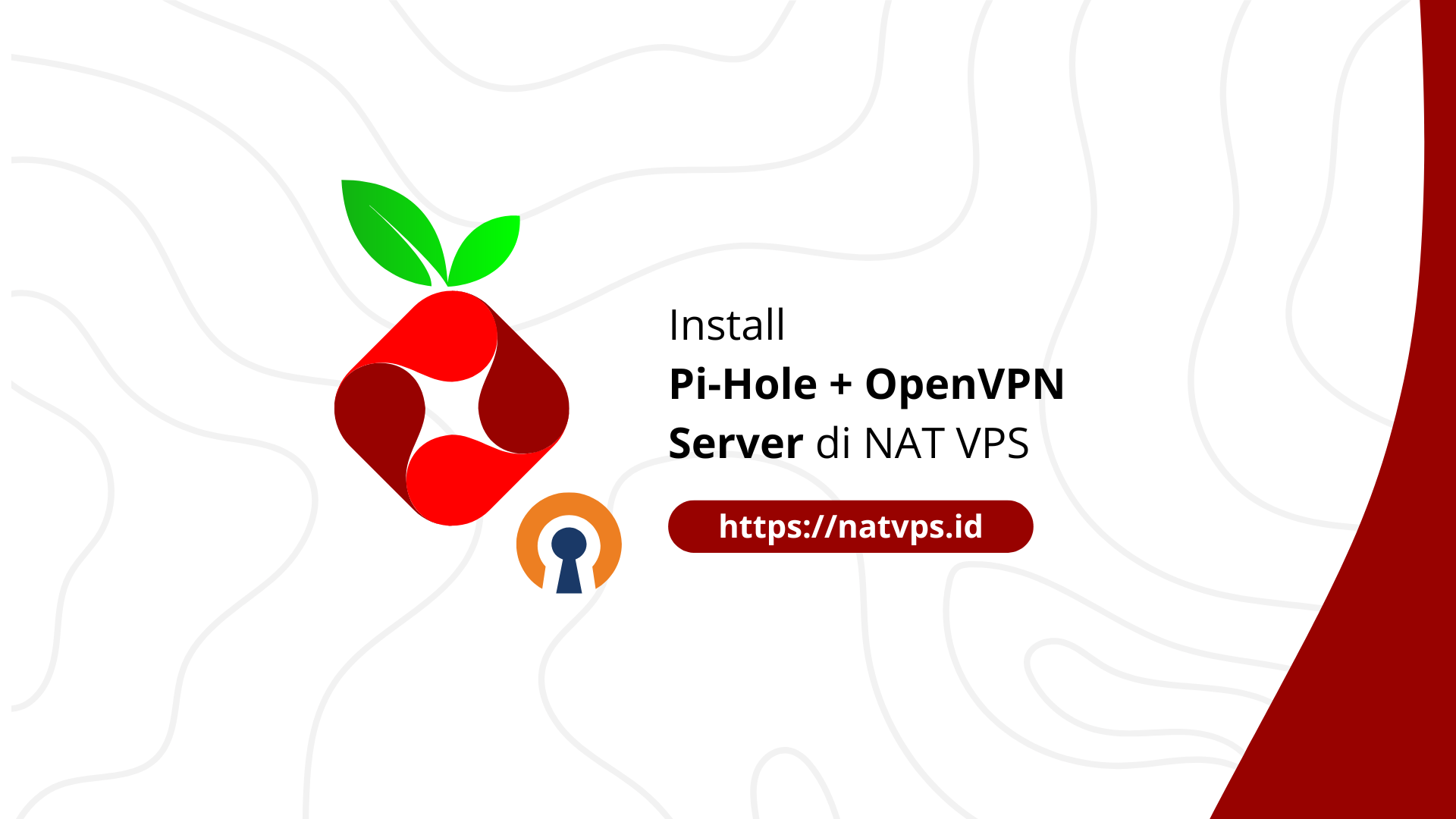 Install Pi-Hole + OpenVPN Server on NAT VPS