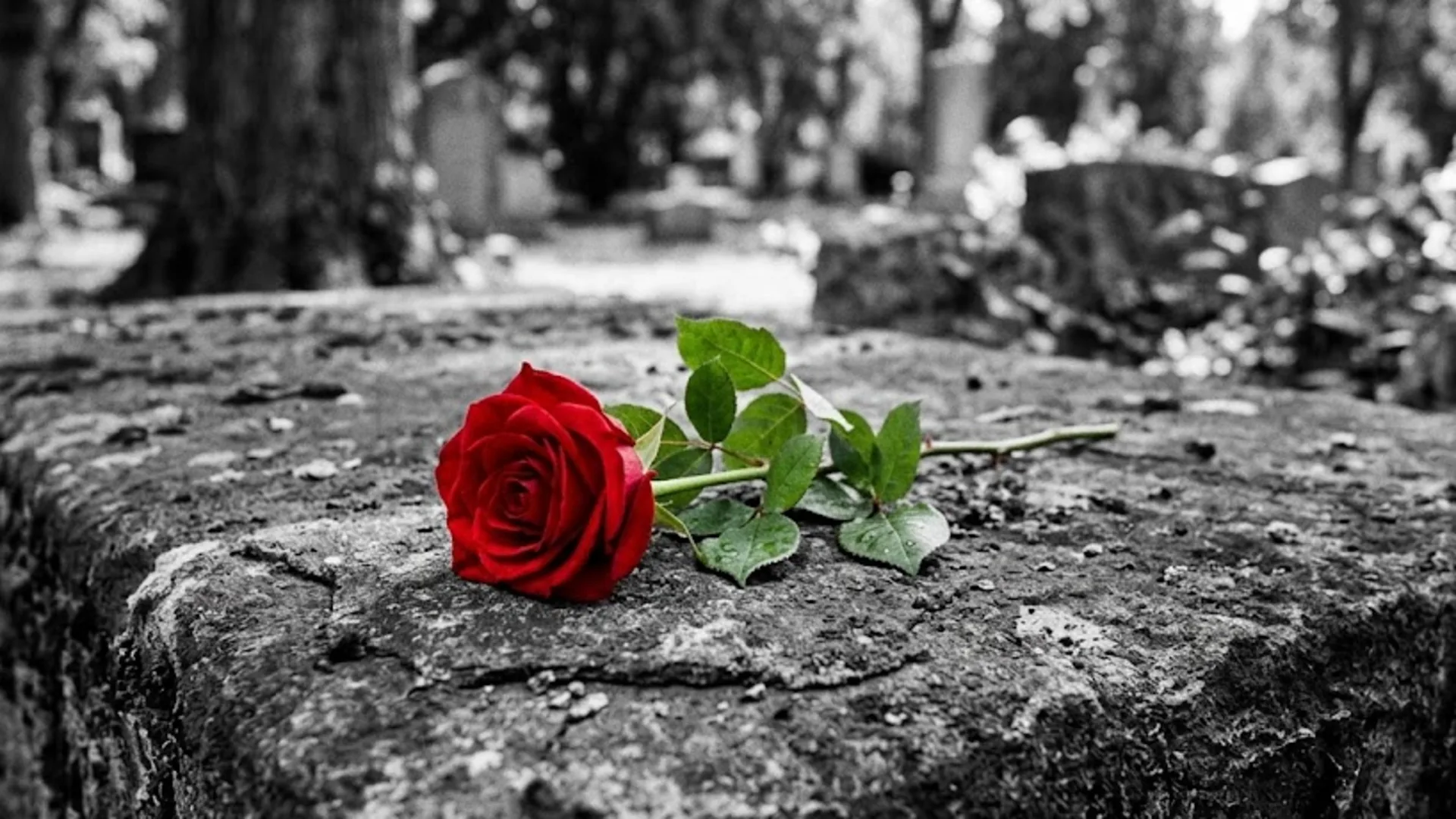 What caused the actor Kang Saep to die? Sad News: Retired Actor Preman Dies