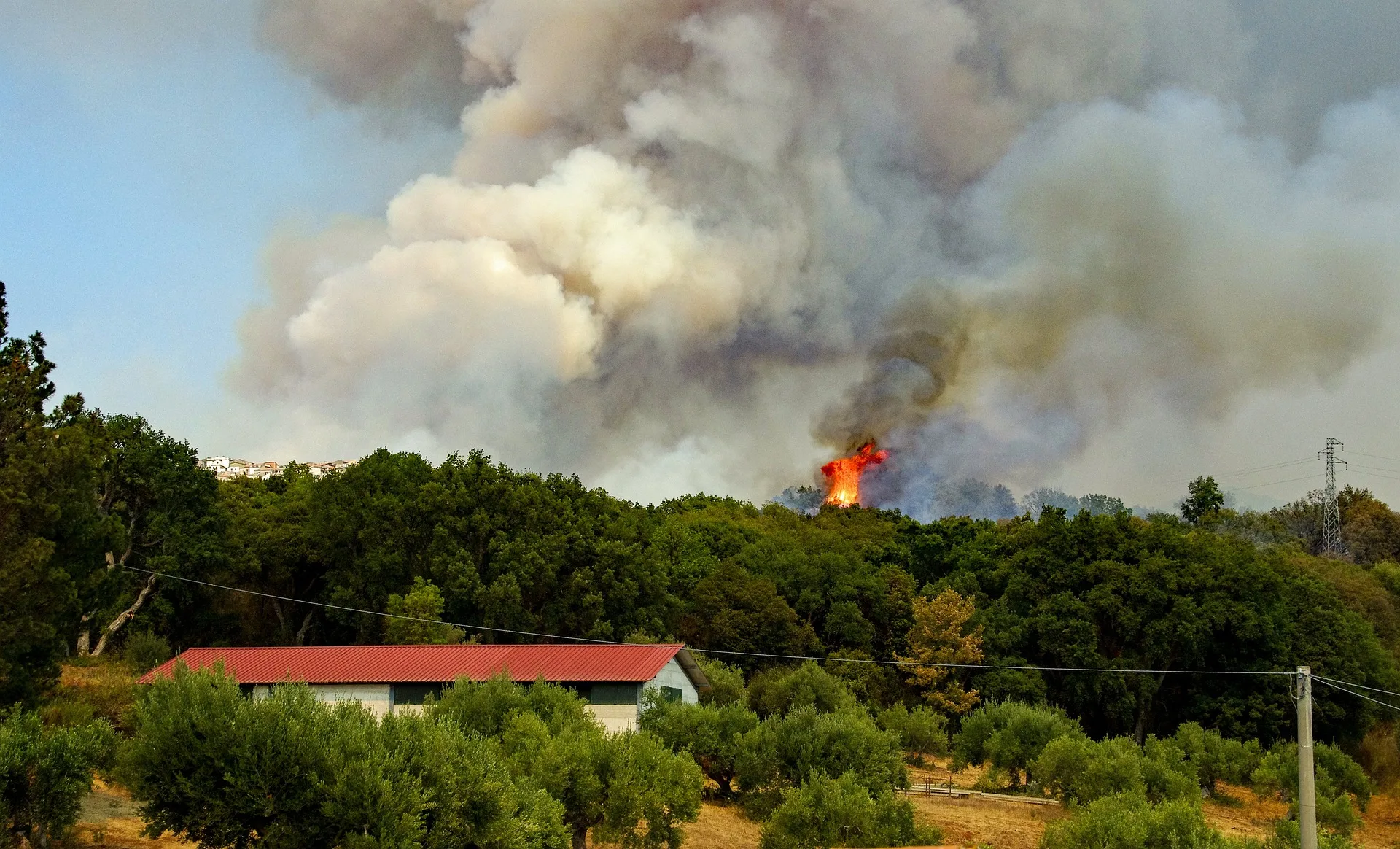 The fire appeared at 8 different points, the cause is not yet known